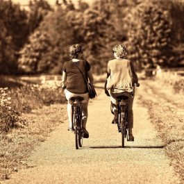 Cyclisme - activités sportives au Lubéron